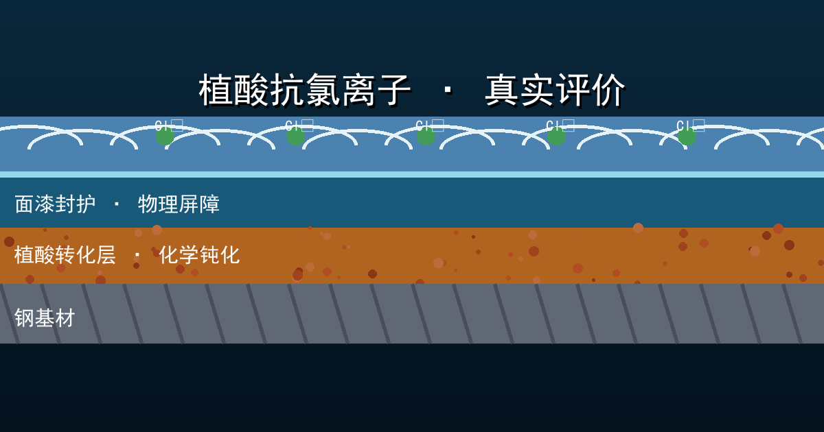 植酸转化底漆配合面漆封护的涂层剖面